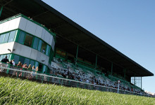 Great Day At The Races!