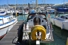 Contessa 26