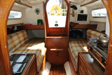 Contessa 26