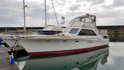 Ocean Yachts 42 Sunliner