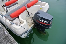 Terhi Vario F45