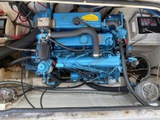 BWSeaCat Classic 995