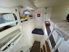 BWSeaCat Classic 995