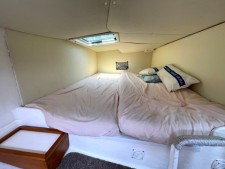 BWSeaCat Classic 995