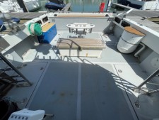 BWSeaCat Classic 995