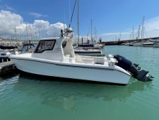 Magnum 28 Catamaran