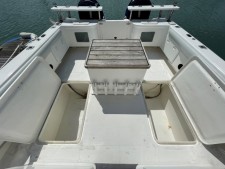 Magnum 28 Catamaran