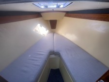 Newbridge Virgo Voyager
