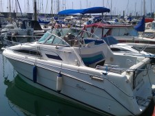 Rinker 260 Fiesta Vee