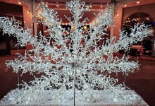 Warmest Thoughts & Best Wishes for a Wonderful Holiday from Brighton Boat Sales