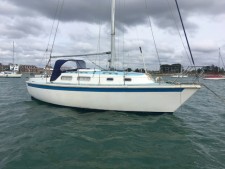Westerly Griffon