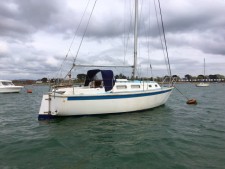 Westerly Griffon