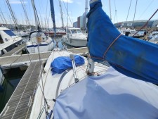 Van De Stadt Prospect 900